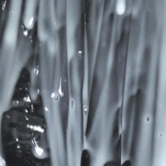 noise: 