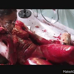 tomfooleryguy: Free videos, gifs, preview, and $5.00 sale until Tues