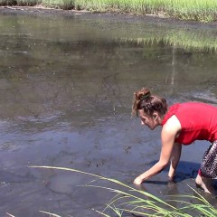 DIDVP_Leila: Elvira sinks into quicksand while running from police