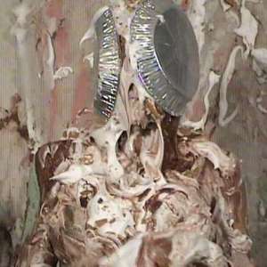 Anglefan.com: Beautiful Hispanic model slimed nicely