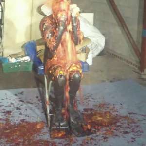 Diver2810: Methods of gunge application