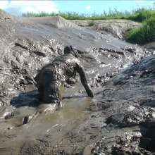 DungeonMasterOne: Felicity the Alternative Mud Girl!
