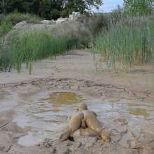 RyuuWammer: The Long Mud Wallow and Masturbation