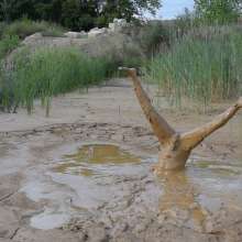 RyuuWammer: The Long Mud Wallow and Masturbation