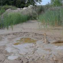 RyuuWammer: The Long Mud Wallow and Masturbation