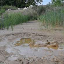RyuuWammer: The Long Mud Wallow and Masturbation