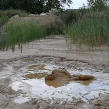 RyuuWammer: The Long Mud Wallow and Masturbation