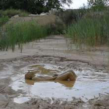 RyuuWammer: The Long Mud Wallow and Masturbation
