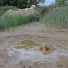 RyuuWammer: The Long Mud Wallow and Masturbation