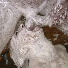 Messygirl: Pics from a New Messygirl Blowjob Video