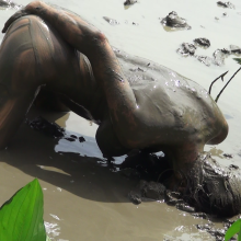 Jayce: Muddy Masturbation and Intense Orgasms!  Erotic Movement in Public!