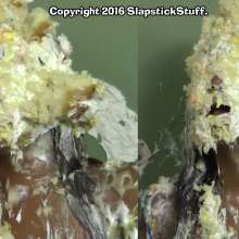 SlapstickStuff: Just The Cakes Returns!  With 48 more epic cakings.
