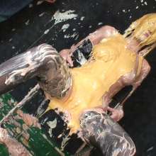 MissT: Danielle Maye Pied
