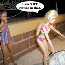 Twilight Man: Diminutive Divas:  Swimsuits and Shaving Cream