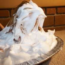 Twilight Man: Diminutive Divas:  Swimsuits and Shaving Cream