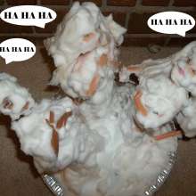 Twilight Man: Diminutive Divas:  Swimsuits and Shaving Cream
