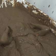 MostWam: Office Mud Bath Competition Bobi