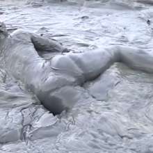 Plonk: New asian swimsuit vid in deep mud