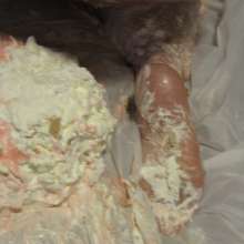 BAC_Customs: Pies and feet