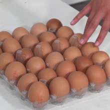 MostWam: Lila Has a Smashing Time with Lots of Eggs!