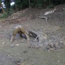 Jayce: ooo more mud and with guess who?  ariel!  you know its a sexy ass time!