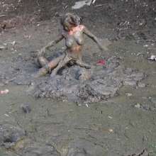 Jayce: ooo more mud and with guess who?  ariel!  you know its a sexy ass time!