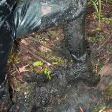 ThighBootsinMud: 