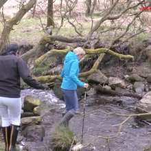djdoriuk: Raven Lee and Charns'  Wader Race