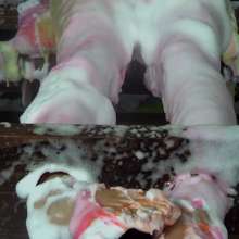 LiquidX: Tamsin in Pillory System Trashed by Miss Michaela