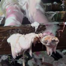 LiquidX: Tamsin in Pillory System Trashed by Miss Michaela