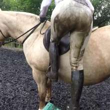 WetandMuddy: Video 40--A Good Loser