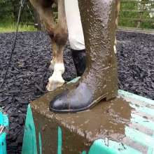 WetandMuddy: Video 40--A Good Loser