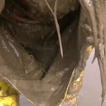 WetandMuddy: Video 41--Spotting Waders in Waders