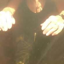 WetandMuddy: Video 42--Shiny Happy People