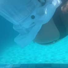 Wet_look_elena: Black Seamed Stockings Heels and White Dress in the Pool