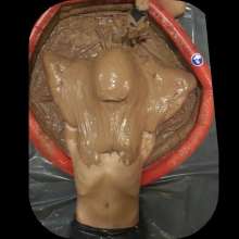 Waltercreamed: Engulfed in Red Clay