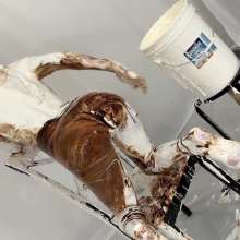 Messygirl: Gooey and Horny Sabrina