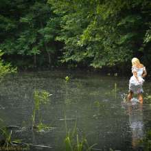 DuncanEdwards: Crossing Genre--"Summer is the Bride of Swamp Thing"