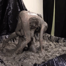 GLAM Wrestling: Mud Wrestling gifs (Hooray!)