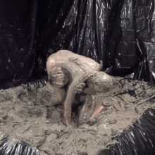 GLAM Wrestling: Nude Mud Wrestling Splat!