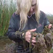 WetandMuddy: Video 59--Swamp Thing