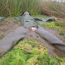 WetandMuddy: Video 59--Swamp Thing