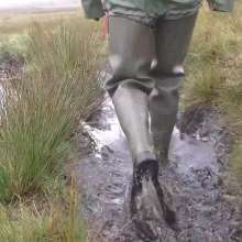 WetandMuddy: Video 59--Swamp Thing