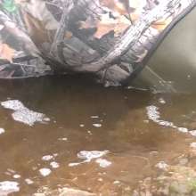 WetandMuddy: Video 59--Swamp Thing