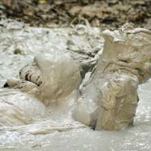 Mudicon20: My top 10 Mud Puddle Visuals scenes.
