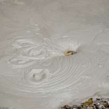Mudicon20: My top 10 Mud Puddle Visuals scenes.