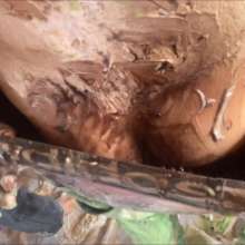 RevSlymsford: Chris And Gideon's Disgusting Slops Fun Episode 2