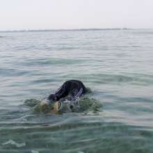 Wet Live Team: Danio Caught the Wave with His Face!  Wow