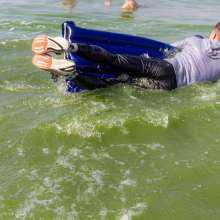 Wet Live Team: Danio Floats on the Mattress and Falls on the Waves!