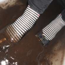 Lauren19: Slightly translucent mud.